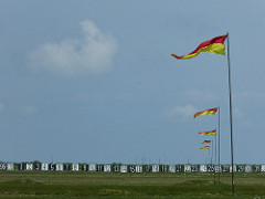 P1000531.jpg