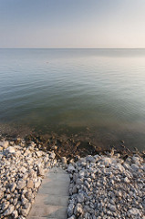 _MG_9417.jpg