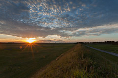 _MG_9917.jpg