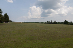 _MG_9372.jpg