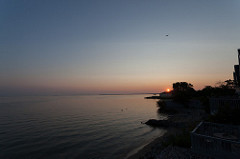 _MG_9579.jpg