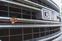 _MG_9594.jpg