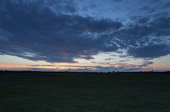 _MG_9924.jpg