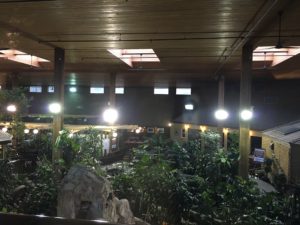Hotel atrium/greenhouse