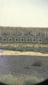 Rattlesnake targets
