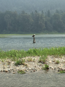 Fraser River