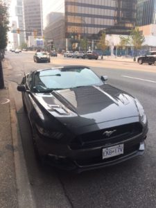 Team transport