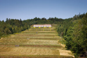 Bull Meadow from 800m